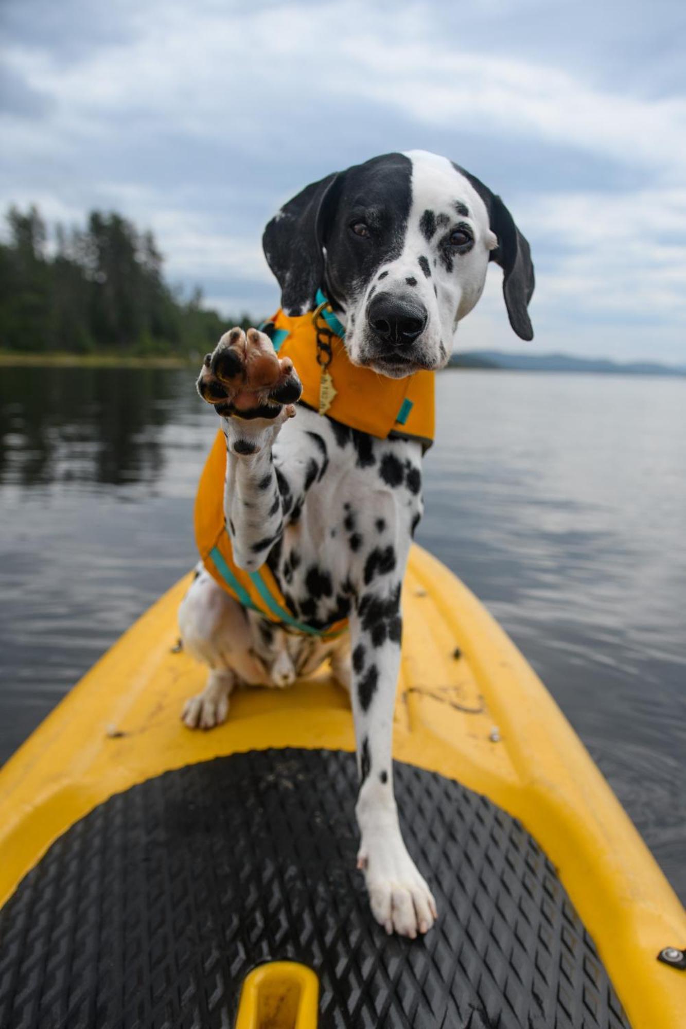 Auberge Du Lac Taureau Saint-Michel エクステリア 写真